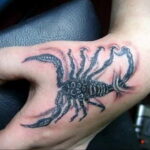 Тату скорпион мужской вариант 16.01.2021 №0028 -scorpion tattoo for men- tatufoto.com