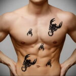 Тату скорпион на животе 16.01.2021 №0003 -scorpion tattoo on stomach- tatufoto.com