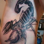 Тату скорпион на животе 16.01.2021 №0017 -scorpion tattoo on stomach- tatufoto.com