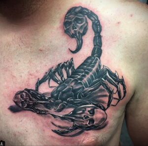 Фото тату скорпиона с черепом на груди, выполненного в черно-серых тонах. Детализированный рисунок с проработкой теней и текстур.