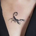 Фото Тату скорпион на груди 16.01.2021 №0015 -scorpion tattoo on chest- tatufoto.com