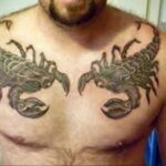 Фото Тату скорпион на груди 16.01.2021 №0039 -scorpion tattoo on chest- tatufoto.com