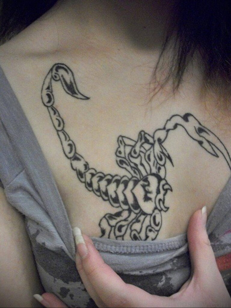 Фото Тату скорпион на груди 16.01.2021 №0048 -scorpion tattoo on chest- tatufoto.com