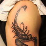 Фото Тату скорпион на плече 16.01.2021 №0008 -scorpion tattoo on shoulder- tatufoto.com