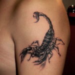 Фото Тату скорпион на плече 16.01.2021 №0010 -scorpion tattoo on shoulder- tatufoto.com