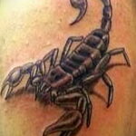 Фото Тату скорпион на плече 16.01.2021 №0020 -scorpion tattoo on shoulder- tatufoto.com