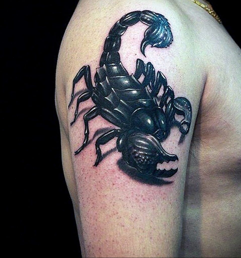 Фото Тату скорпион на плече 16.01.2021 №0021 -scorpion tattoo on shoulder- tatufoto.com
