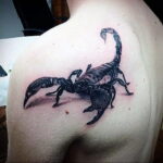 Фото Тату скорпион на плече 16.01.2021 №0039 -scorpion tattoo on shoulder- tatufoto.com