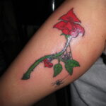 Фото женского цветного рисунка тату 09.01.2021 №1189 -color female tattoo- tatufoto.com