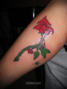 Фото женского цветного рисунка тату 09.01.2021 №1189 -color female tattoo- tatufoto.com