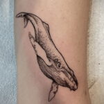 Фото интересного рисунка татуировки 08.01.2021 №11070 -interesting tattoo- tatufoto.com