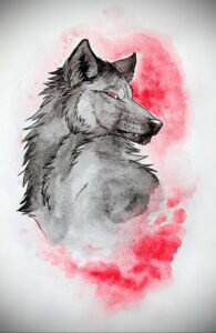 Фото тату: акварельный рисунок головы волка на белом фоне с красными брызгами краски. Стильная и современная татуировка.