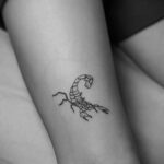 Фото тату маленький скорпион 16.01.2021 №0003 -little scorpion tattoo- tatufoto.com