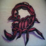 Фото тату маленький скорпион 16.01.2021 №0022 -little scorpion tattoo- tatufoto.com