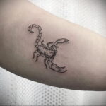 Фото тату маленький скорпион 16.01.2021 №0031 -little scorpion tattoo- tatufoto.com