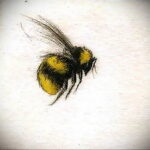 Фото тату мохнатый полосатый шмель 03.01.2021 №009 -bumblebee tattoo- tatufoto.com