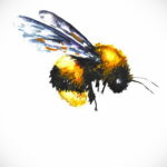 Фото тату мохнатый полосатый шмель 03.01.2021 №014 -bumblebee tattoo- tatufoto.com