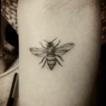Фото тату мохнатый полосатый шмель 03.01.2021 №215 -bumblebee tattoo- tatufoto.com