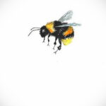Фото тату мохнатый полосатый шмель 03.01.2021 №325 -bumblebee tattoo- tatufoto.com
