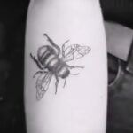 Фото тату мохнатый полосатый шмель 03.01.2021 №414 -bumblebee tattoo- tatufoto.com