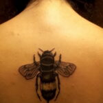 Фото тату мохнатый полосатый шмель 03.01.2021 №511 -bumblebee tattoo- tatufoto.com