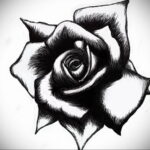 Фото тату с черной розой 25.01.2021 №0037 - black rose tattoo - tatufoto.com
