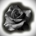 Фото тату с черной розой 25.01.2021 №0070 - black rose tattoo - tatufoto.com