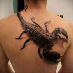 Фото тату скорпион на спине 16.01.2021 №0003 -scorpion back tattoo- tatufoto.com