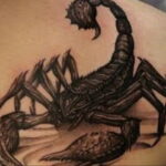 Фото тату скорпион на спине 16.01.2021 №0014 -scorpion back tattoo- tatufoto.com