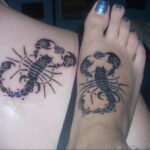 Фото тату скорпион на спине 16.01.2021 №0020 -scorpion back tattoo- tatufoto.com