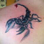 Фото тату скорпион на спине 16.01.2021 №0025 -scorpion back tattoo- tatufoto.com