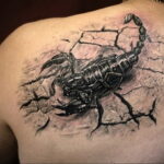 Фото тату скорпион на спине 16.01.2021 №0027 -scorpion back tattoo- tatufoto.com