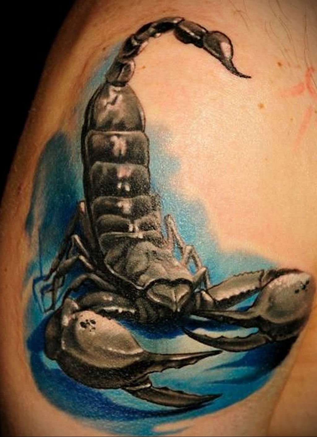 Фото тату цветной скорпион 16.01.2021 №0018 -color tattoo scorpion- tatufoto.com