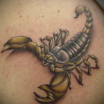 Фото тату цветной скорпион 16.01.2021 №0025 -color tattoo scorpion- tatufoto.com