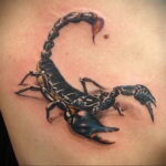 Фото тату черный скорпион 16.01.2021 №0002 -black scorpion tattoo- tatufoto.com