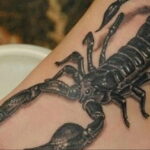 Фото тату черный скорпион 16.01.2021 №0013 -black scorpion tattoo- tatufoto.com