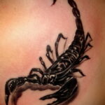 Фото тату черный скорпион 16.01.2021 №0028 -black scorpion tattoo- tatufoto.com