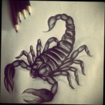 Эскиз для татуировки скорпион 16.01.2021 №0005 -scorpion tattoo sketch- tatufoto.com