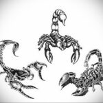 Несколько эскизов татуировок скорпиона, выполненных в реалистичном стиле. Разные позы и ракурсы.