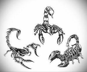 Несколько эскизов татуировок скорпиона, выполненных в реалистичном стиле. Разные позы и ракурсы.
