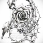 Эскиз для татуировки скорпион 16.01.2021 №0025 -scorpion tattoo sketch- tatufoto.com