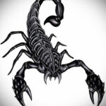 Эскиз для татуировки скорпион 16.01.2021 №0034 -scorpion tattoo sketch- tatufoto.com