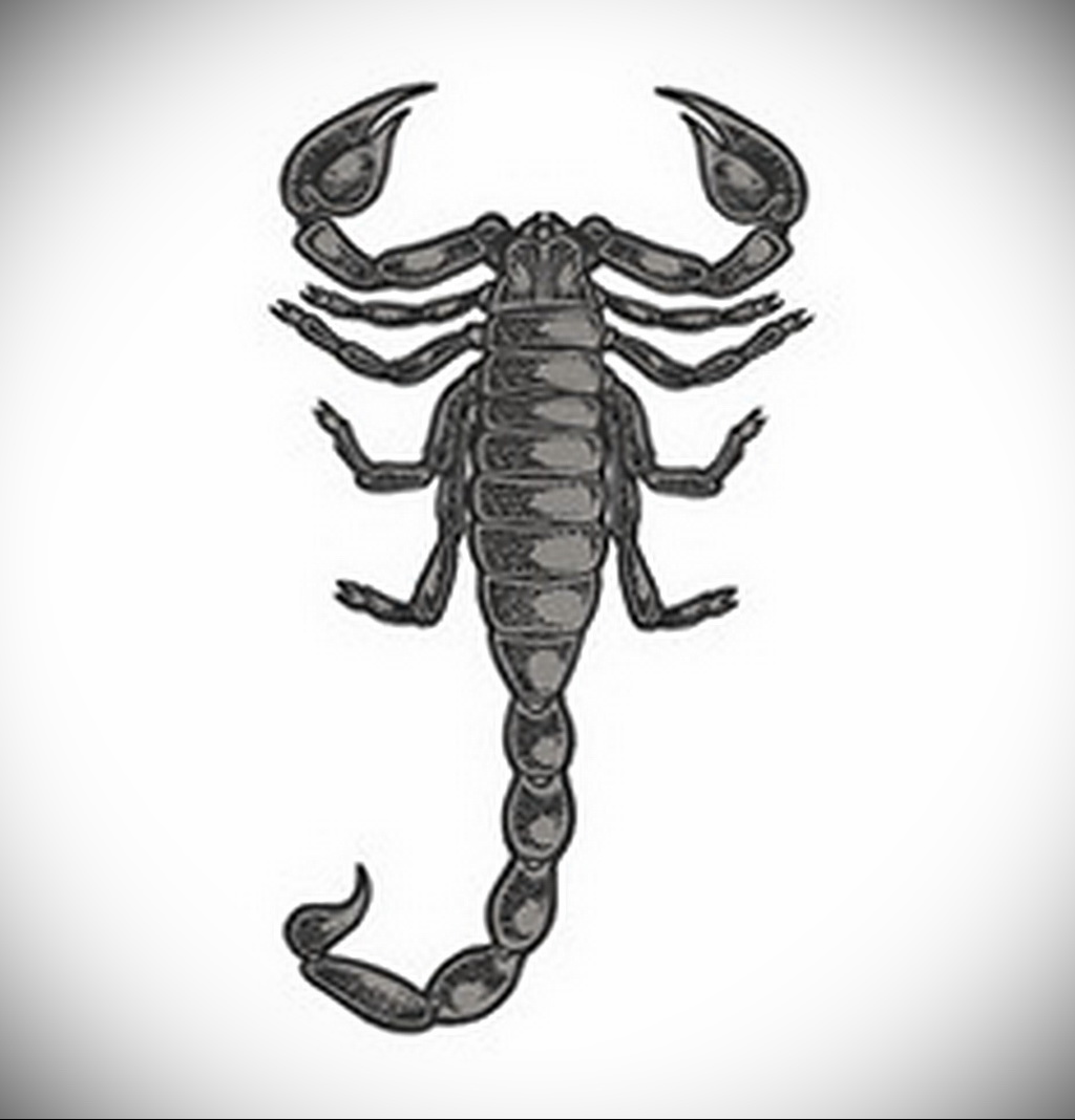 Скорпион рисунок простой