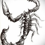 Черно-белый рисунок татуировки скорпиона, выполненный в реалистичном стиле с высокой детализацией. Видны все сегменты тела, клешни и жало.