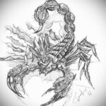 Эскиз для татуировки скорпион 16.01.2021 №0063 -scorpion tattoo sketch- tatufoto.com