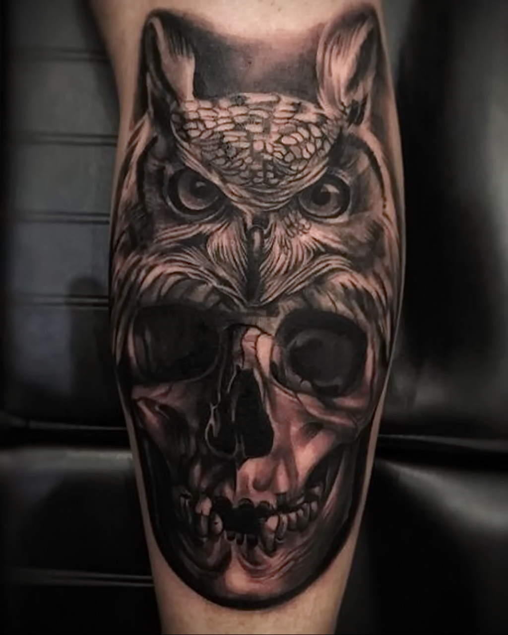 тату сова и череп пример рисунка 15.02.2021 № 0037 - owl skull tattoo - tat...