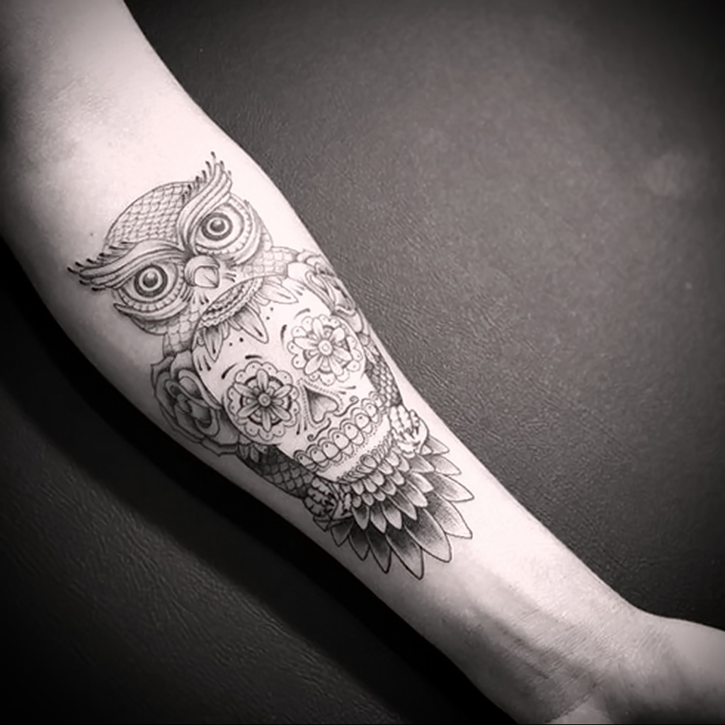 тату сова и череп пример рисунка 15.02.2021 № 0199 - owl skull tattoo - tat...
