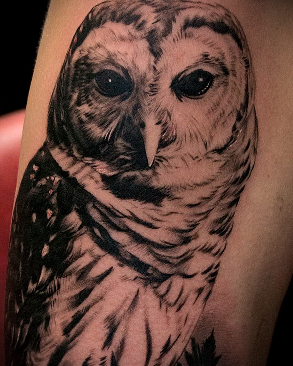 тату с черной совой на фото 15.02.2021 № 0086 - black owl tattoo- tatufoto....