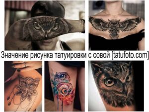 Коллаж из нескольких фотографий татуировок с изображением сов в различных стилях и размерах. От реалистичных до графических.