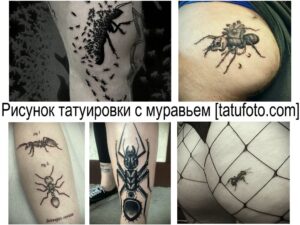Фотография коллажа из нескольких татуировок с изображением муравьев, жуков и других насекомых. Татуировки выполнены в разных стилях и техниках.